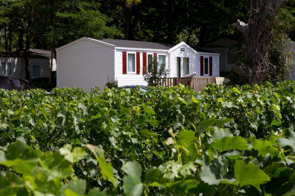 Camping Le Pressoir Petit-Palais-et-Cornemps Eksteriør billede