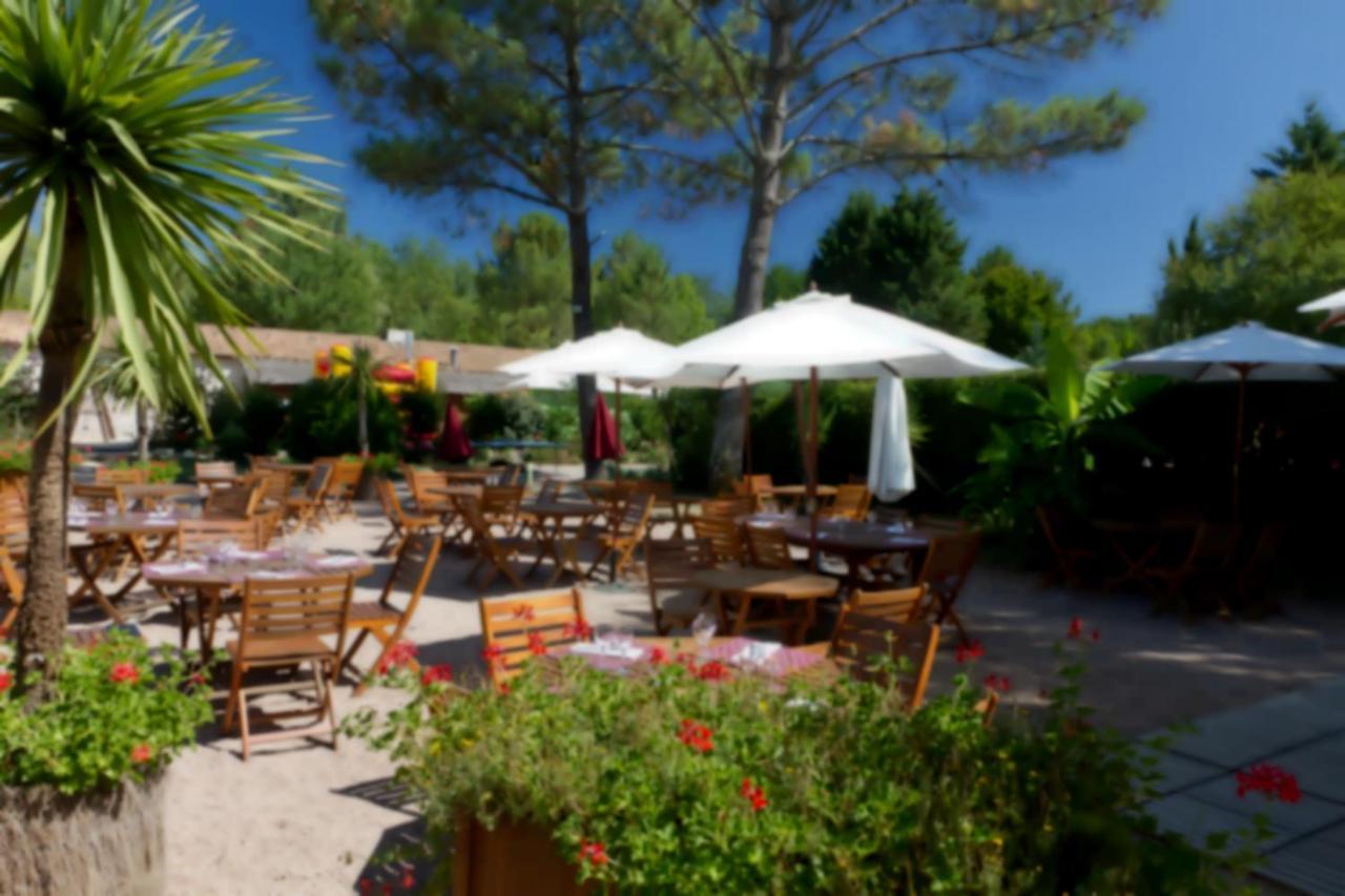 Camping Le Pressoir Petit-Palais-et-Cornemps Eksteriør billede